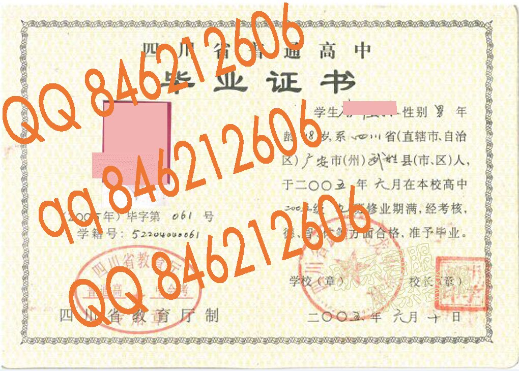 四川省武胜飞龙中学校毕业证样本