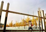 洛阳师范学院