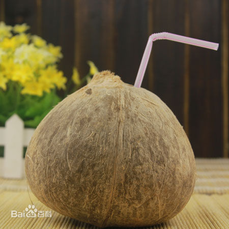椰子
