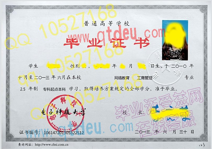 电子科技大学网络教育毕业证模板/样本图