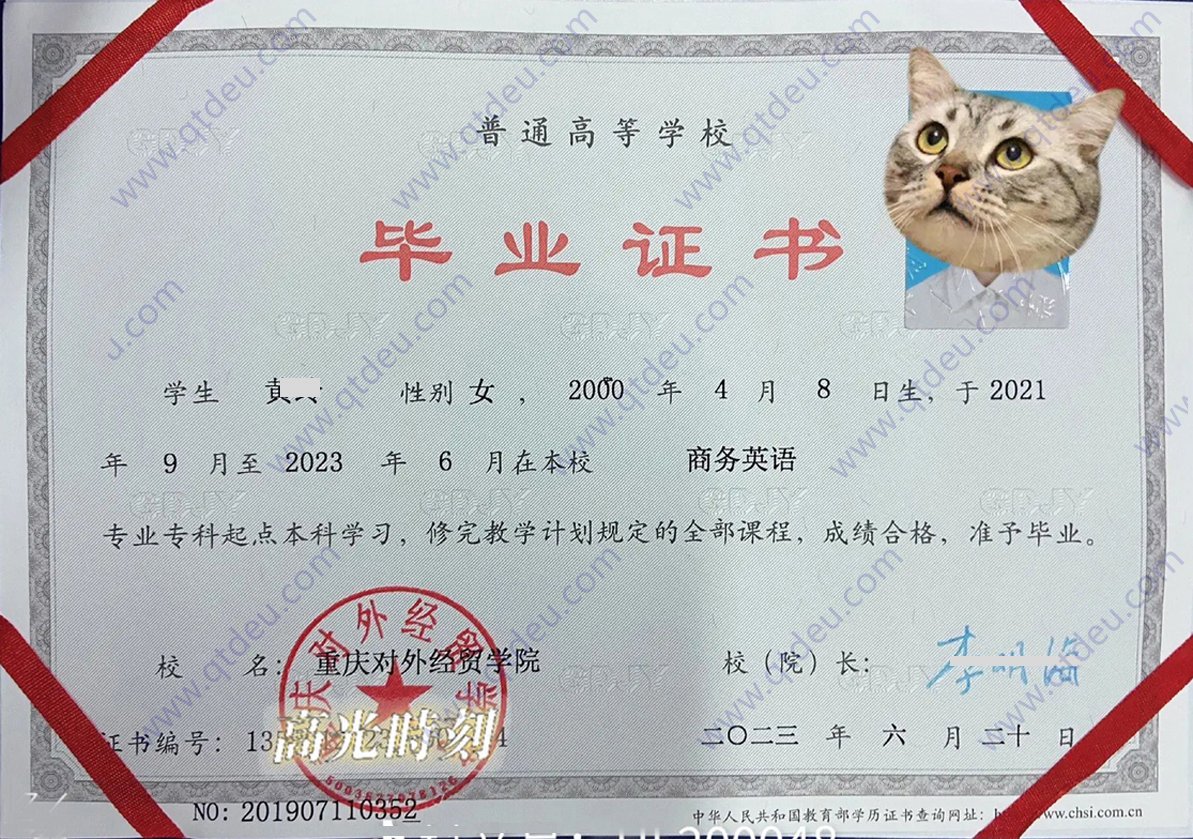 重庆对外经贸学院23年专升本科毕业证样本图片