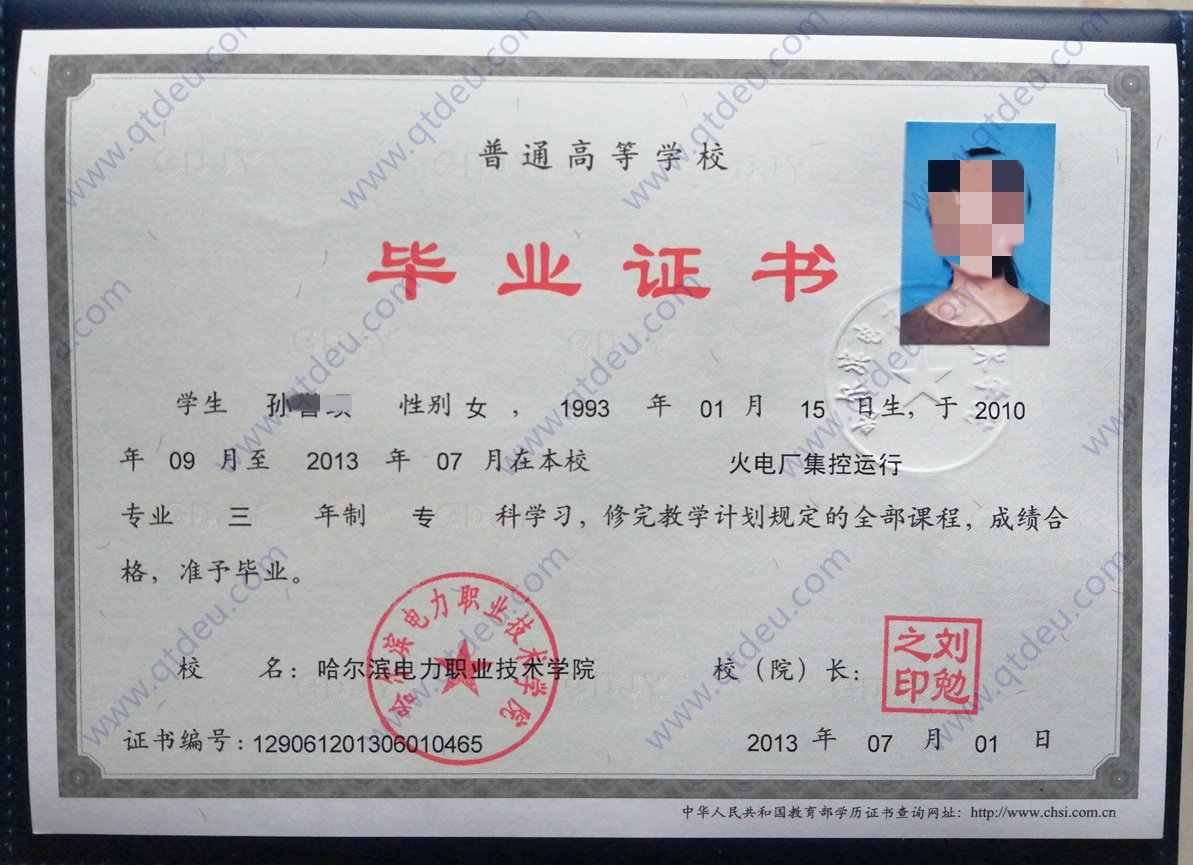 哈尔滨电力职业技术学院13年全日制大专毕业证原版样本样式图