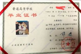 昆明理工大学津桥学院毕业证原版样式图
