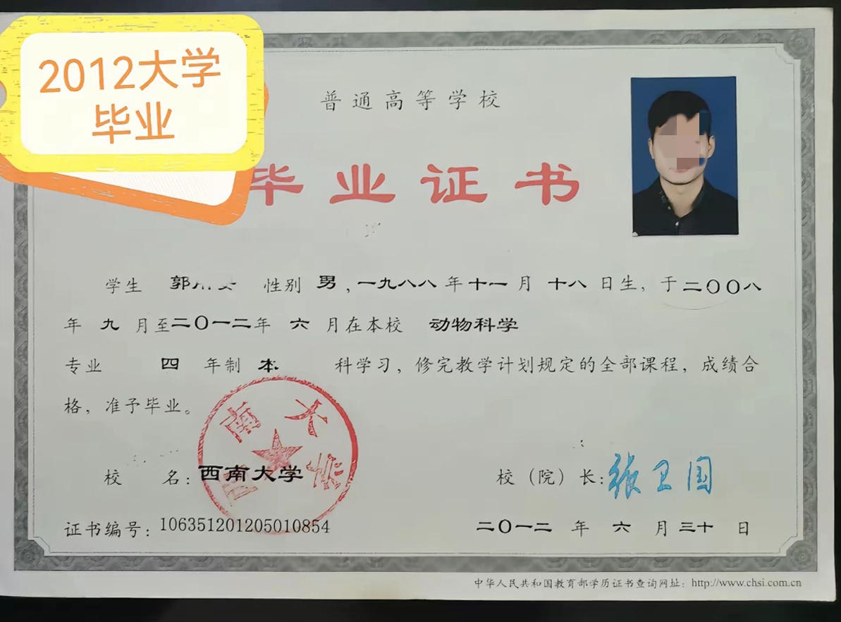 西南大学12年本科毕业证原版清晰图