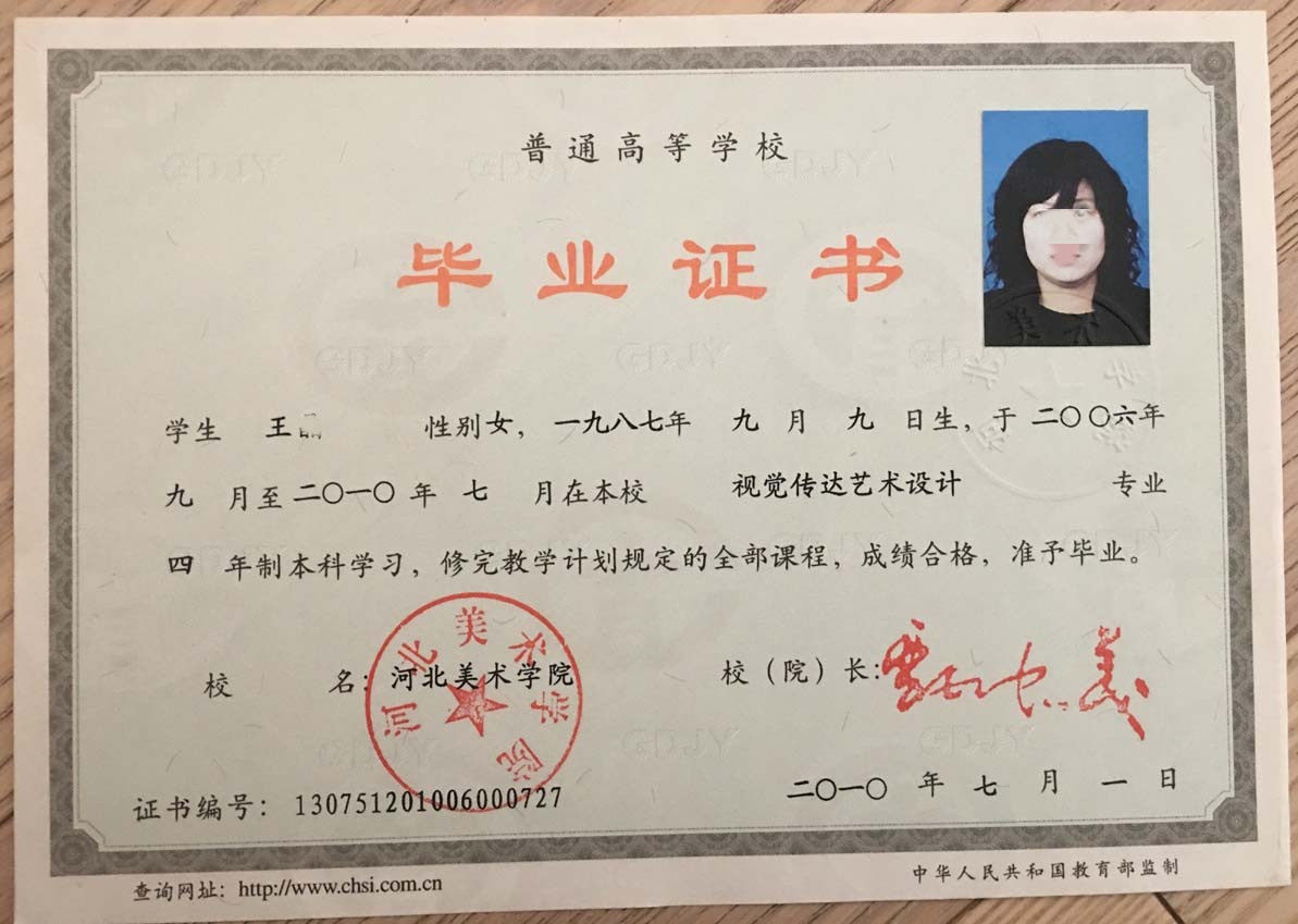 河北美术学院10年全日制本科毕业证原版样本样式图