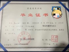 泰山职业技术学院毕业证原版样本图片